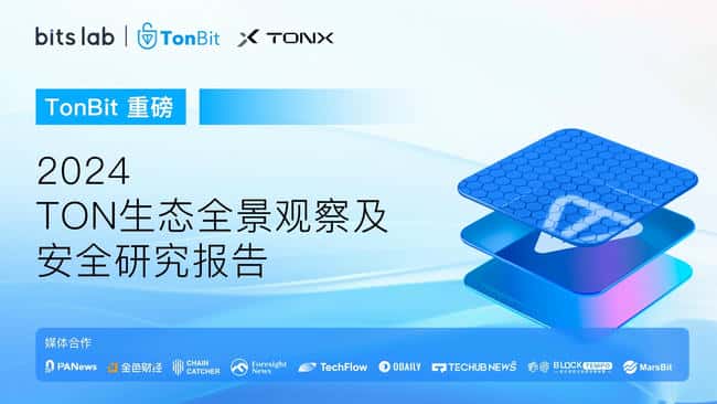2024年TON生态全面解析：发展潜力与安全风险深度报告
