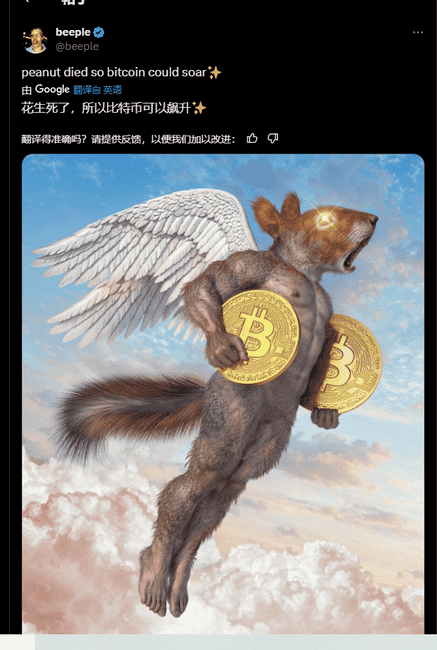 币安新上ACT与PNUT,半小时狂飙10倍:是投资良机还是精准陷阱?