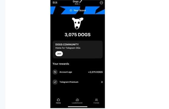 DOGS币领取指南：快速获取教程