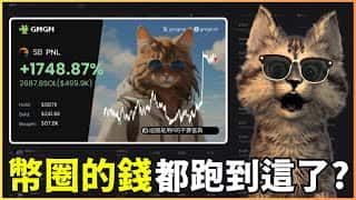 玩转迷因币：避坑指南及高阶策略