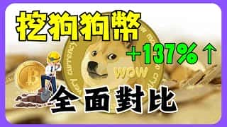 狗狗币投资潜力深度解析：收益与风险并存