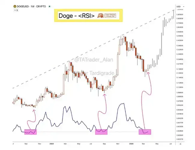 马斯克撇清DOGE与美国政府关系，狗狗币触底了吗？