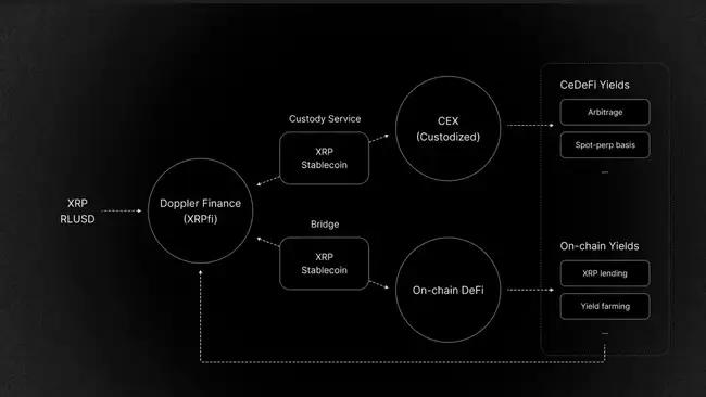XRP 1亿美元和解案后:从邪教币到合规巨头的华丽转身