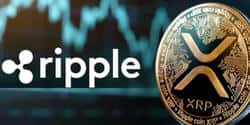 揭秘XRP筹码分布：谁才是最大的XRP持有者？