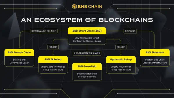 从华尔街到加密圈:BNB Network CEO的十年心路历程!