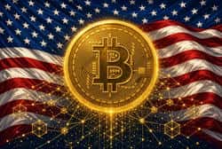 美国政府转移10.1亿美元比特币，Bitfinex查获资产转入新钱包引发市场关注
