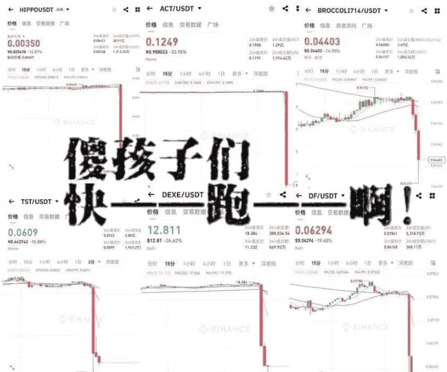 马斯克辞职传闻致狗狗币暴跌，比特币反弹破8.5万，山寨币一分钟崩盘50%！空军大获全胜