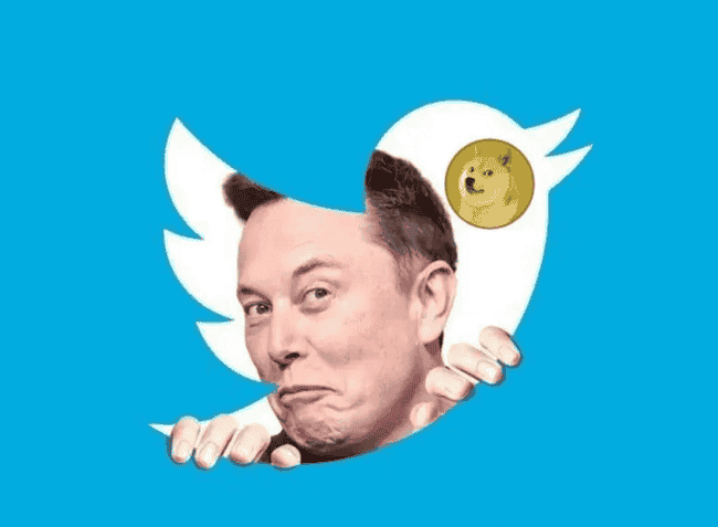 狗狗币狂欢:揭秘两大推手,助力DOGE直冲5美元巅峰!