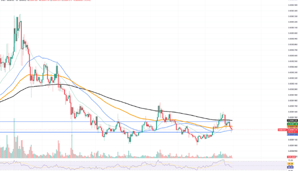 空头惨遭爆仓!SHIB、BTC、XRP集体反攻,大行情一触即发?