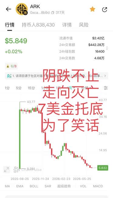 ARK代币暴雷警示:30万投资者血本无归,7800万美元资金盘崩盘内幕全揭露