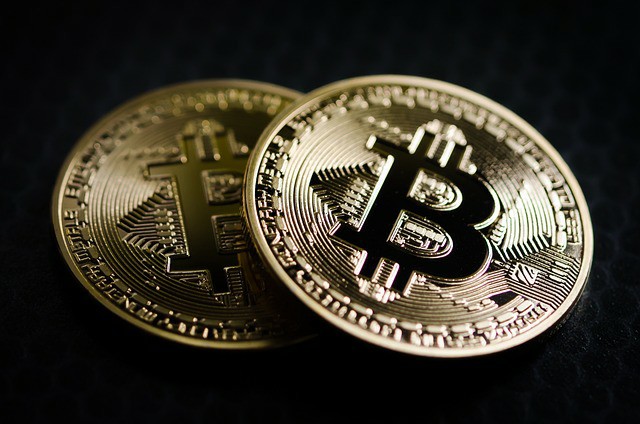 2024年加密市场新星：Pepecoin、狗帽币和青蛙币爆发在即